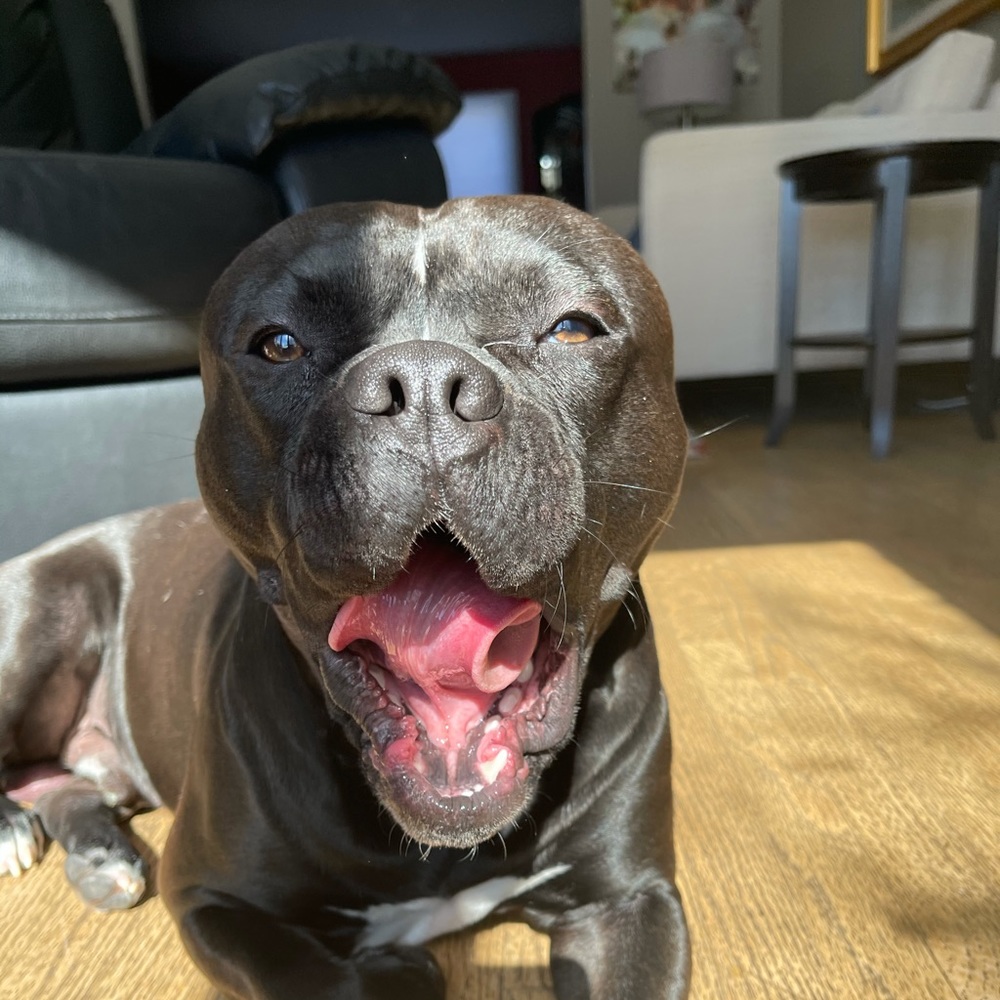 Meet your Posher, Spencer